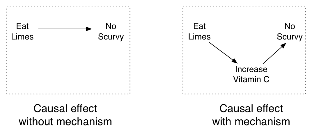 Figure 4.9: Limes prevent scurvy and the mechanism is Vitamin C.