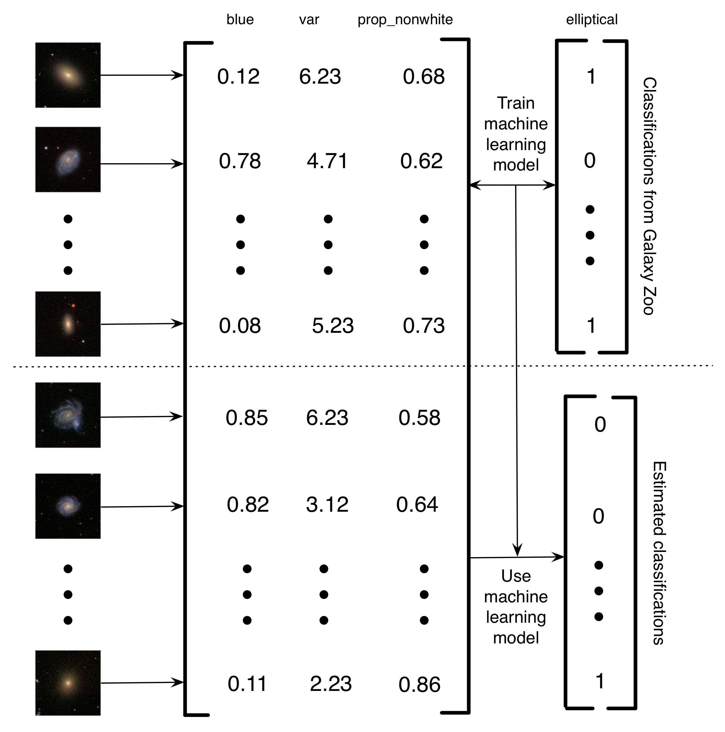 Figura 5.4: descripción simplificada de cómo Banerji et al. (2010) utilizaron las clasificaciones de Galaxy Zoo para entrenar un modelo de aprendizaje automático para hacer la clasificación de galaxias. Las imágenes de las galaxias se convirtieron en una matriz de características. En este ejemplo simplificado, hay tres características (la cantidad de azul en la imagen, la variación en el brillo de los píxeles y la proporción de píxeles no blancos). Luego, para un subconjunto de las imágenes, las etiquetas de Galaxy Zoo se utilizan para entrenar un modelo de aprendizaje automático. Finalmente, el aprendizaje automático se usa para estimar las clasificaciones de las galaxias restantes. Yo llamo a esto un proyecto de computación humana asistido por computadora porque, en lugar de que los humanos solucionen un problema, los humanos han creado un conjunto de datos que se puede usar para entrenar a una computadora para resolver el problema. La ventaja de este sistema de computación humano asistido por computadora es que le permite manejar cantidades de datos esencialmente infinitas usando solo una cantidad finita de esfuerzo humano. Imágenes de galaxias reproducidas con permiso de Sloan Digital Sky Survey.